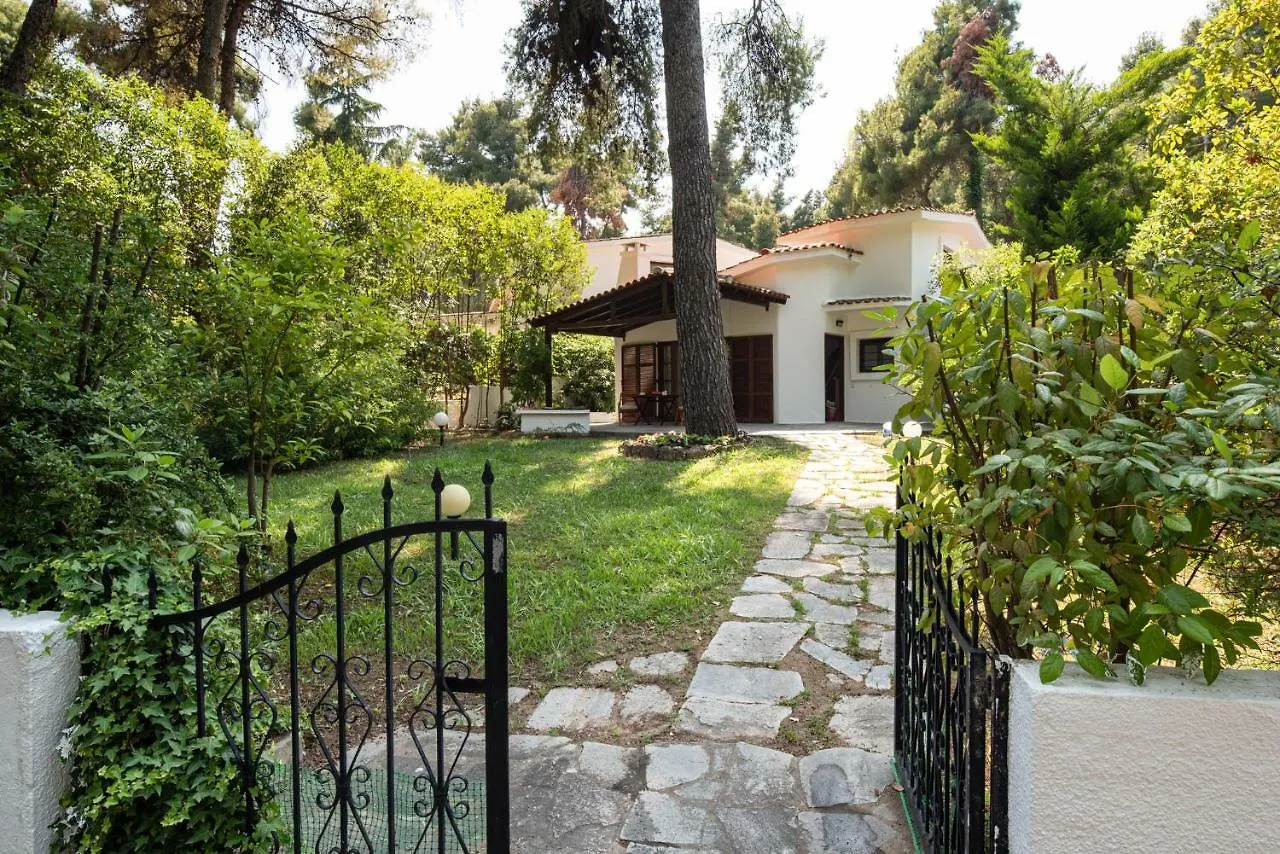 Cyan Villa Elena Sani  Greece